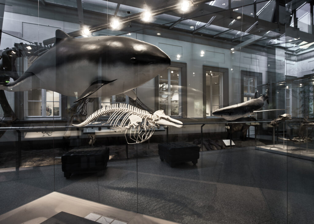 Museen Stuttgart