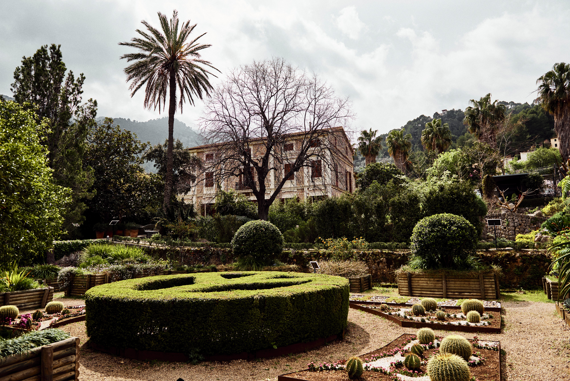 Garten Mallorca